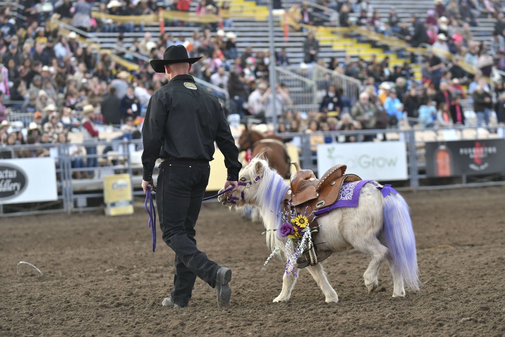 053019 Rodeo Thursday 10.jpg